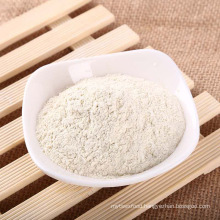 Best Price Factory Supply Natural Dehydrated Onion Powder